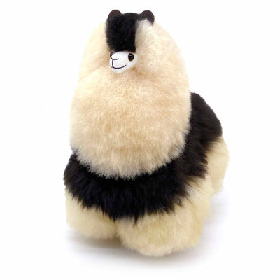 Alpaca – Medium - Fluffy Alpaca – Medium - Fluffy