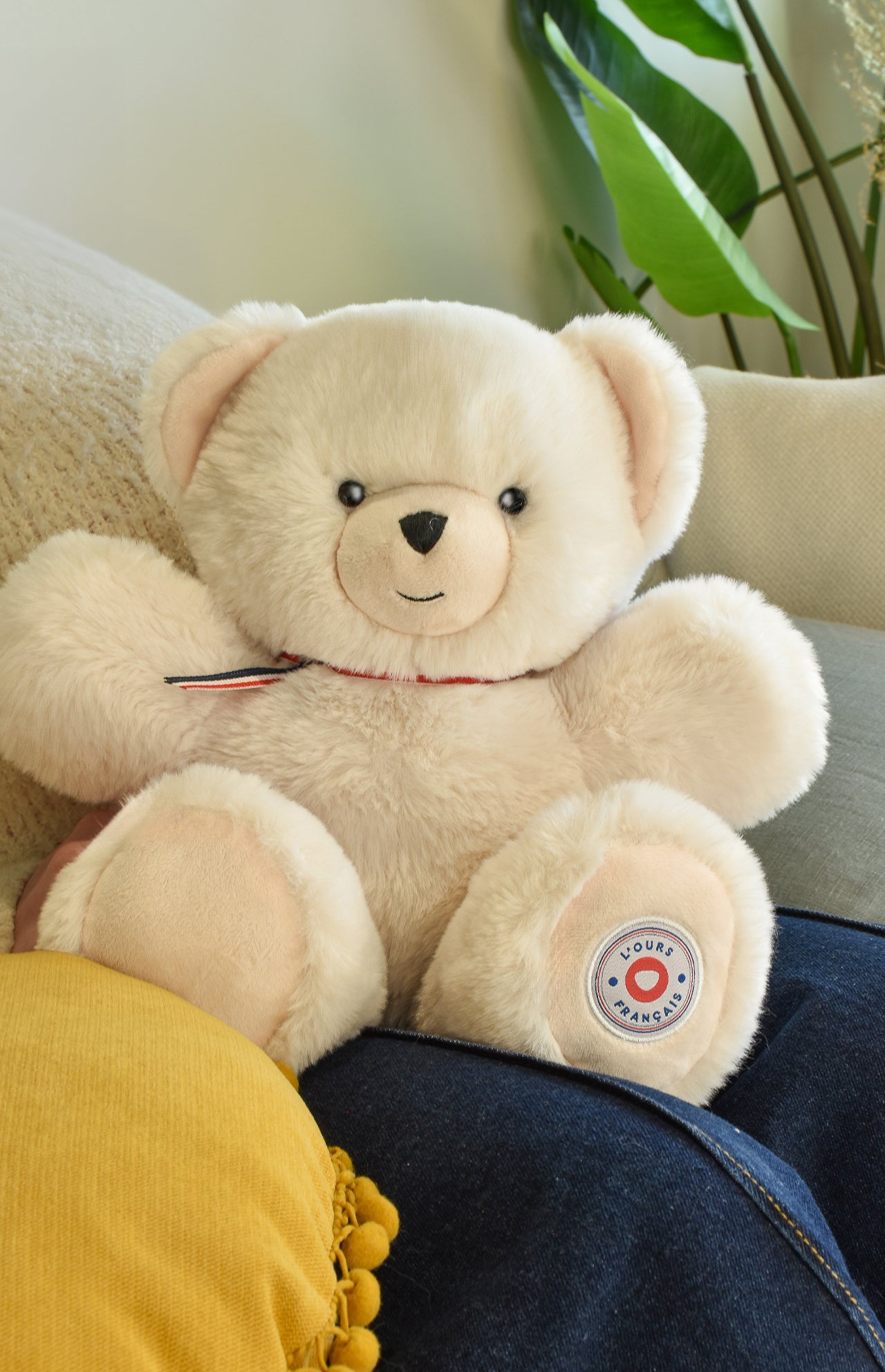 Французький ведмедик | Обійми, що зігрівають серце