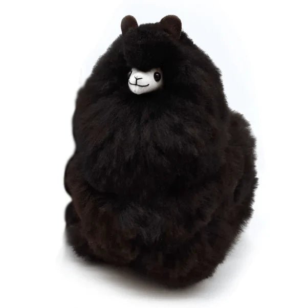 Альпака – Маленька - Чорна Пантера