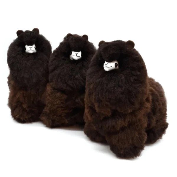 Альпака – Маленька - Какао