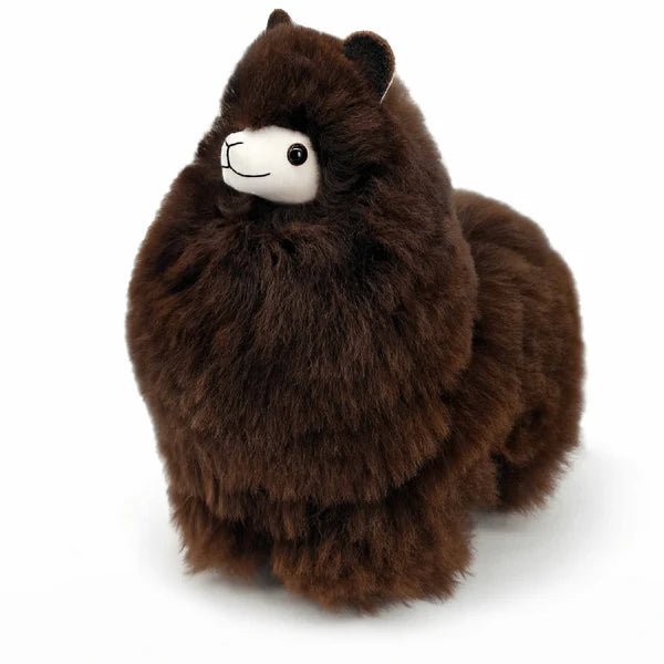 Альпака – Маленька - Шоколад