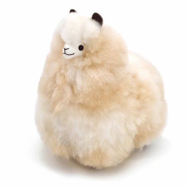 Альпака – Маленька - Cахара