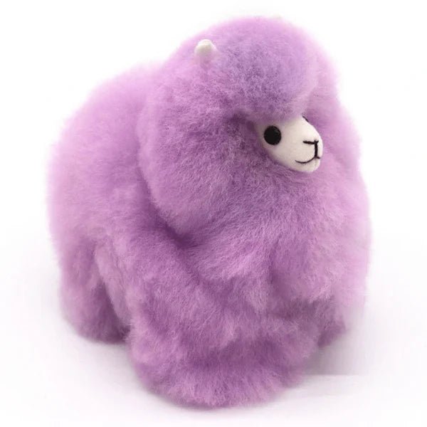 Альпака Райдужна – Міні - Фіалка