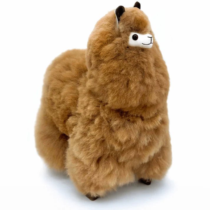 Альпака – Велика - Фундук