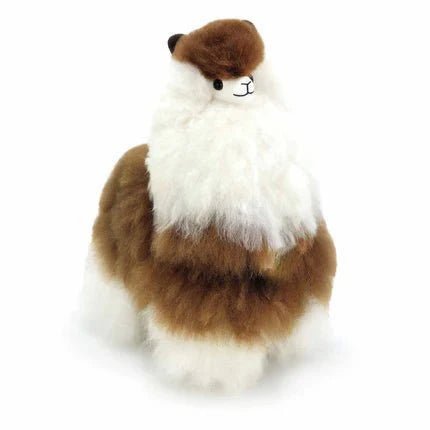 Альпака – Велика - Маккіато