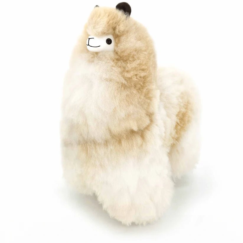 Альпака – Велика - Cахара