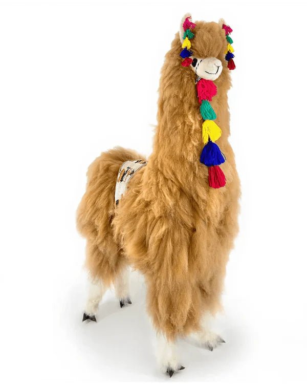 Альпака – XXL - Фундук