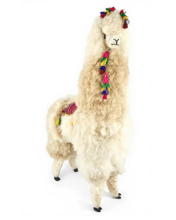 Альпака – XXL - Cахара