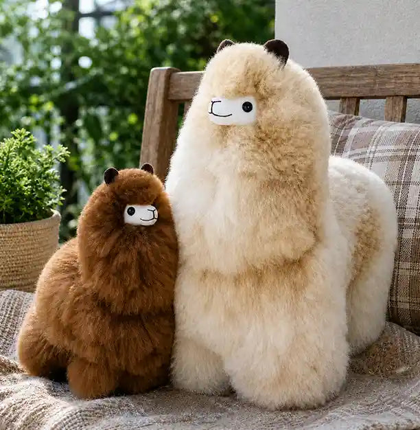 Alpaca